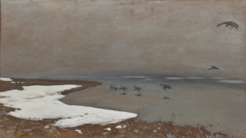 Widok 1 Lico