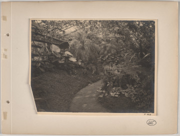 A.1248 Widok 1 Lico