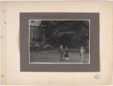A.1234 Widok 1 Lico