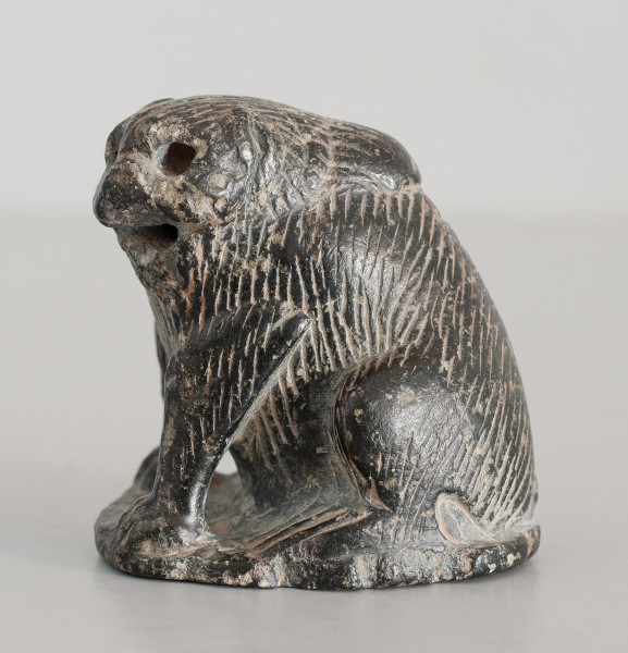 ujęcie całości - lewy bok