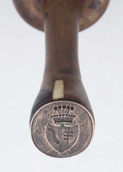 zbliżenie na tympariusz