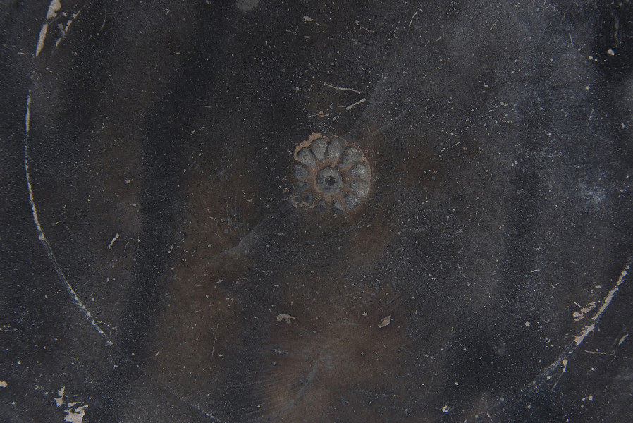 ujęcie z góry - fragment z rozetą odciśniętą na dnie