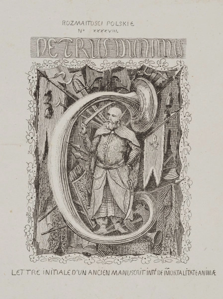zbliżenie na fragment grafiki