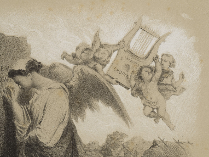 zbliżenie na fragment grafiki