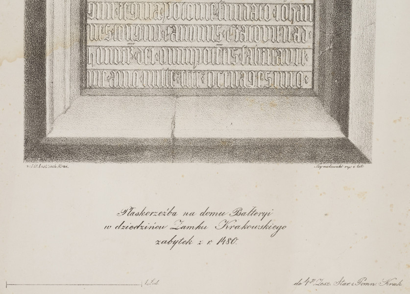 zbliżenie na fragment grafiki