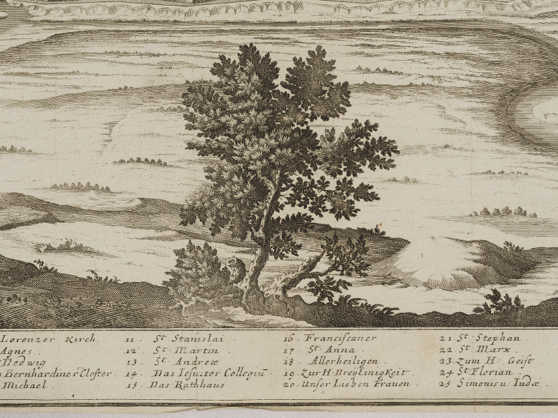 zbliżenie na fragment grafiki