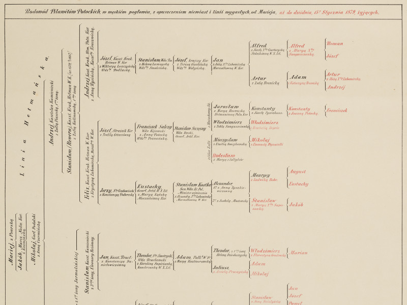 zbliżenie na fragment grafiki