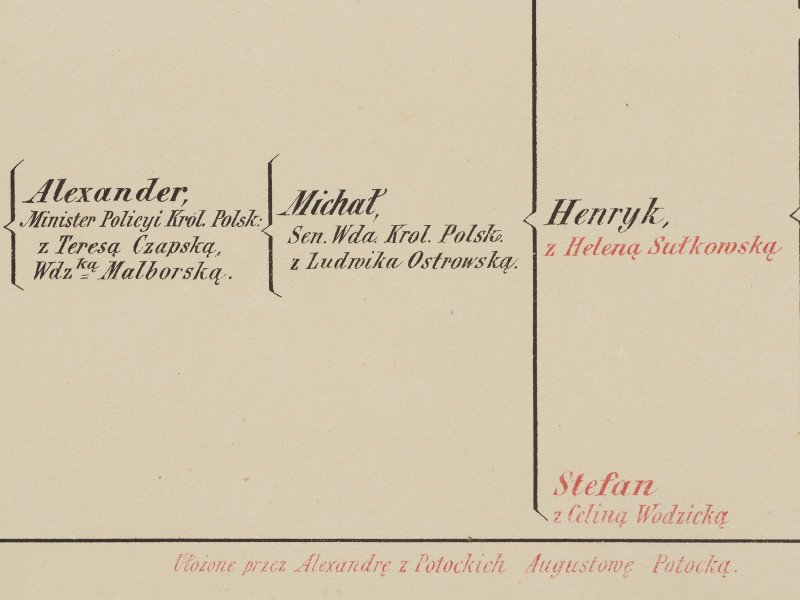 zbliżenie na fragment grafiki