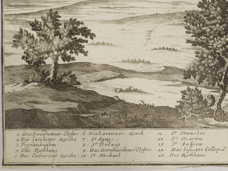 zbliżenie na fragment grafiki