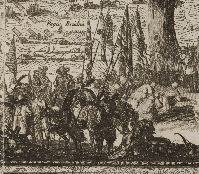 zbliżenie na fragment grafiki