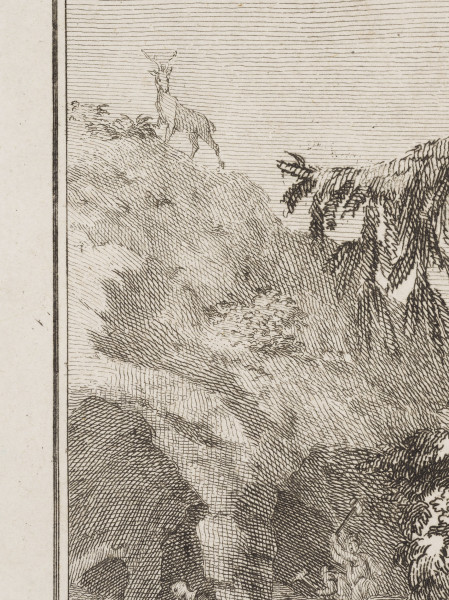 zbliżenie na fragment grafiki