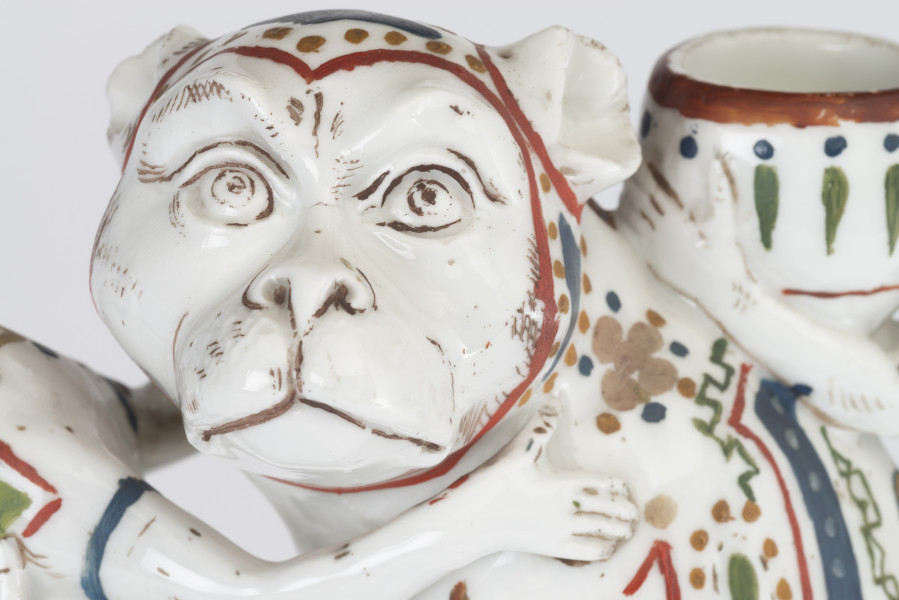 zbliżenie na głowę małpy