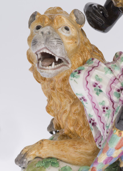 zbliżenie na głowę lwa