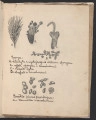strona 3