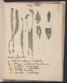 strona 7