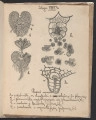 strona 6