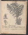 strona 5