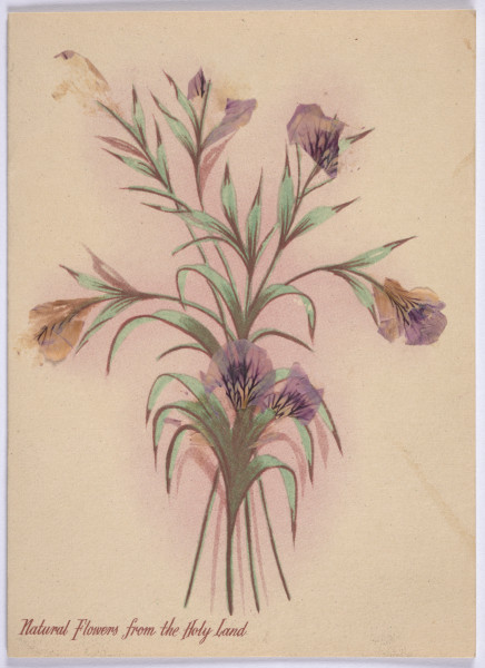 Awers. Fotografia wykonana w ramach Programu Operacyjnego Polska cyfrowa – projekt www.muzeach