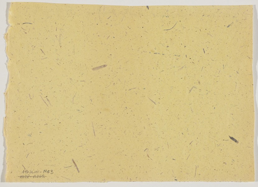 Ujęcie odwrocia. Pusta karta pożółkłego papieru