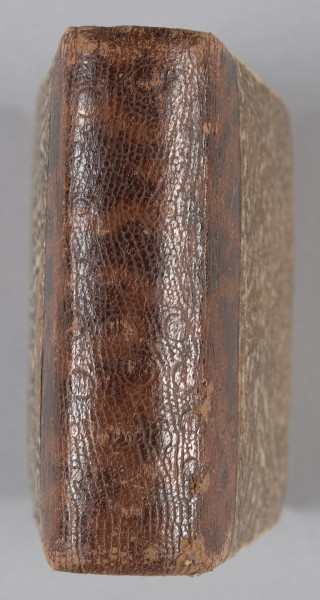 ujęcie od góry grzbietu