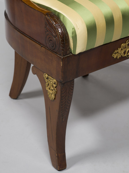 zbliżenie na prawą przednią nogę