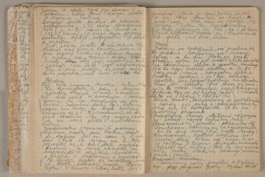 zeszyt 1 -  [strona 46, 47]