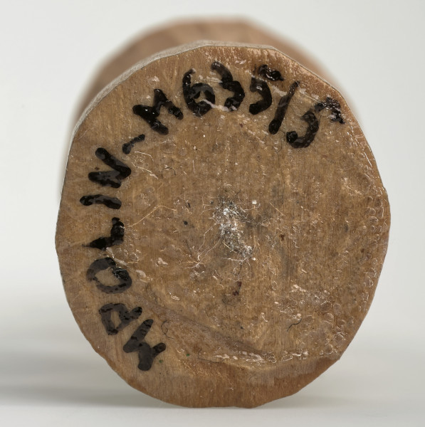 Ujęcie na spód obiektu. Okrągła podstawa pionka szachowego. Ponieważ był on rzeźbiony ręcznie krawędź nie jest idealnie równa. Pośrodku widoczny czarny 