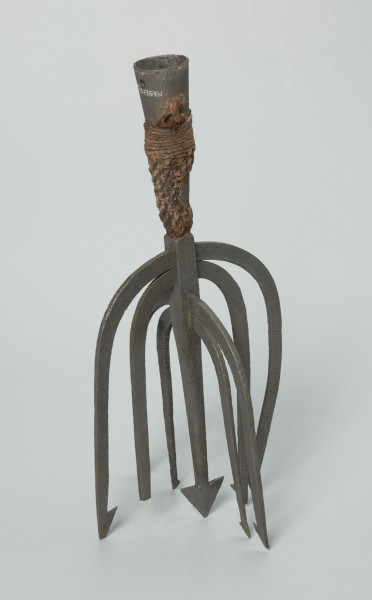 Ość dziewięciozębna kandelabrowa - Ujęcie z przodu w pionie. Ość dziewięciozębna, wykonana z kutego żelaza. Oś narzędzia stanowi ząb z trójkątnym grotem, zakończony oplecioną konopnym sznurkiem stożkowatą tuleją. W górnej części tulei dwa niewielkie, umieszczone naprzeciwlegle względem siebie otwory.  Ząb o zwężających się ku dołowi ściankach. W górnej i dolnej części mający przekrój prostokątny, w środkowej zbliżony do okrągłego. Blisko jego nasady znajdują się, na prostopadłych względem siebie ściankach, dwa przechodzące na wylot prostokątne otwory, w których mocowane są po dwie pary łukowato wygiętych ku dołowi ramion (pozostałych zębów) zakończonych pojedynczymi zadziorami (jednego zadziora brak). Ułożenie ramion nadaje narzędziu formę kandelabrową.