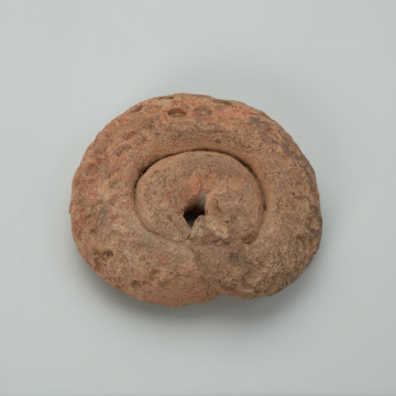 mns/af/3453 figura - Ujęcie z góry z drugiej strony; Okrągła, chropowata, gliniana rzeźba o beżowoceglastym kolorze, w formie spiralnej, pogrubionej i połączonej linii - zawijasa. Figura swym kształtem przypomina muszlę ślimaka lub zwiniętego węża. Rzeźbę z zewnętrznej strony ozdobiono podłużnymi i owalnymi wgłębieniami. W części centralnej uzyskano owalną, pustą przestrzeń. Na powierzchni widoczne są rysy i mikropęknięcia.