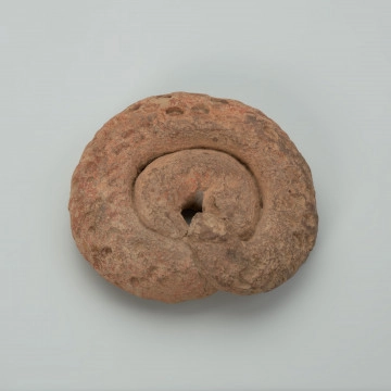 mns/af/3453 figura - Ujęcie z góry z drugiej strony; Okrągła, chropowata, gliniana rzeźba o beżowoceglastym kolorze, w formie spiralnej, pogrubionej i połączonej linii - zawijasa. Figura swym kształtem przypomina muszlę ślimaka lub zwiniętego węża. Rzeźbę z zewnętrznej strony ozdobiono podłużnymi i owalnymi wgłębieniami. W części centralnej uzyskano owalną, pustą przestrzeń. Na powierzchni widoczne są rysy i mikropęknięcia.