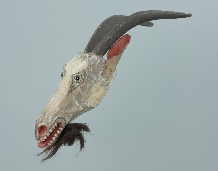 rekwizyt obrzędowy - Ujęcie z przodu skosem w lewą stronę. Głowa kozy - rekwizyt obrzedowy wykorzystywany podczas przedstawień koledniczych i zapustnych.