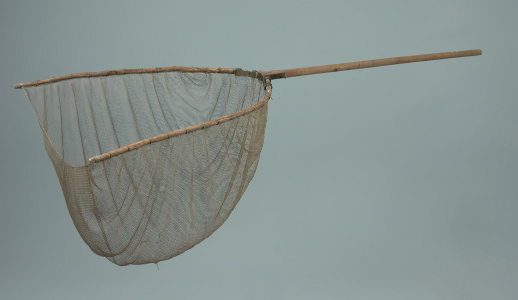 kłonia - Ujęcie zprzodu skosem w lewą stronę. Narzędzie pułapkowe zlożone z workowatej siatki rozpiętej na łukowato zagiętej ramie zakończonej trzonkiem.