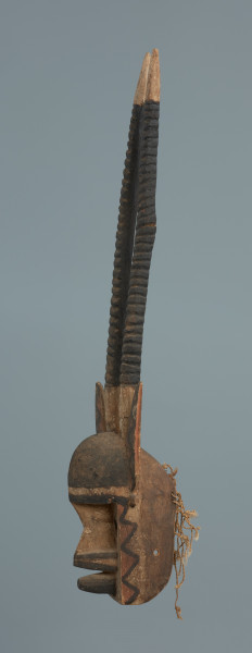 rzeźba , maska - Ujęcie lewego boku. Część twarzowa: czoło wypukłe, czarne, cienki grzbiet nosa, szerokie nozdrza, stożkowate usta. wycięte trójkątne oczy. Na obu bokach części twarzowej wymalowany zyg-zakowaty wzór (czarna linia, wypełnienie trójkątów - czerwone). Część twarzowa zwieńczona lekko wygiętymi do tyłu długimi żłobkowanymi rogami oraz szpiczastymi uszami ozdobionymi zyg-zakowatymi wzorami (kolory analogicznie jak wyżej). W części tylnej maski wywiercone otwory, umożliwiające przymocowanie jej do twarzy tancerza oraz pozostałości po sznurku.