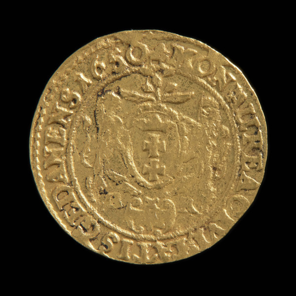 środek płatniczy, pieniądz, moneta - Ujęcie rewersu. Moneta z tarczą herbową trzymaną przez dwa lwy na rewersie.