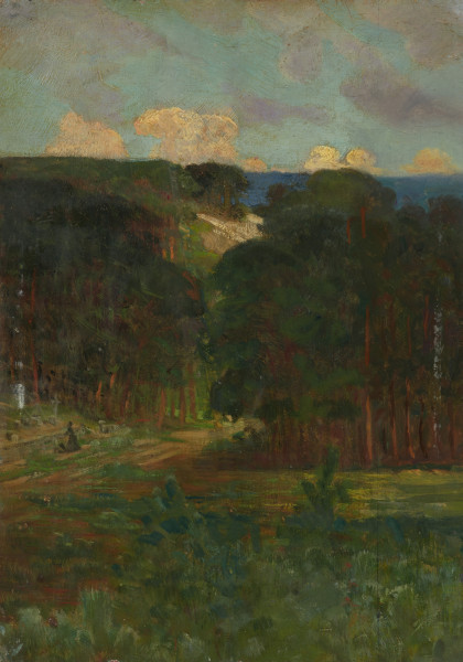 pejzaż - ujęcie z przodu; Za łąką - na pierwszym planie - dwie grupy drzew, spoza których, po lewej wzniesienie z jasną plamą piasku, po prawej, po prawej ciemnoniebieska płaszczyzna wody. Horyzont na 4/5 wysokości. Na jasno-turkusowym niebie białe i liliowe obłoczki. Na przedplanie chłodna zieleń zarośli. Po lewej, pod lasem mała sylwetka postaci kobiecej w długiej sukni.