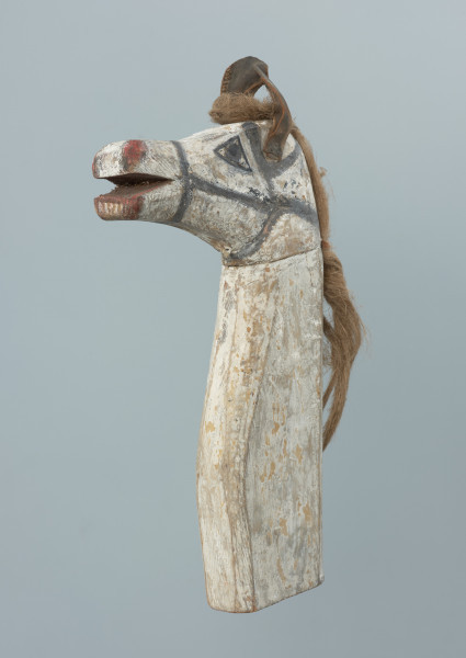 Głowa konia - rekwizyt obrzędowy - Ujęcie z przodu skosem w lewą stronę. Głowa konia – rekwizyt obrzędowy. Wyrób własny, jednostkowy. Głowa wykonana techniką obróbki stolarskiej z dwóch kawałków drewna łączonych na czop. Przedstawiona realistycznie. Pysk długi, otwarty. Jego środek oraz nozdrza pomalowane na czerwono (obecnie jedynie pozostałości farby). Z przodu żuchwy szereg bardzo słabo widocznych namalowanych białą farbą prostych kresek (zęby?).  Czarną farbą namalowane oczy i uzda. Po bokach głowy, za pomocą gwoździ, mocowane wycięte ze skóry uszy. Pomiędzy nimi  oraz poniżej, na karku, przybite za pomocą małych gwoździków cienkie skórzane paski, za pomocą których mocowana jest grzywa z jasnego włosia (końskiego?). Szyja długa, prosta, w jej spodzie znajduje się otwór na kij. Całość pomalowana na biało.