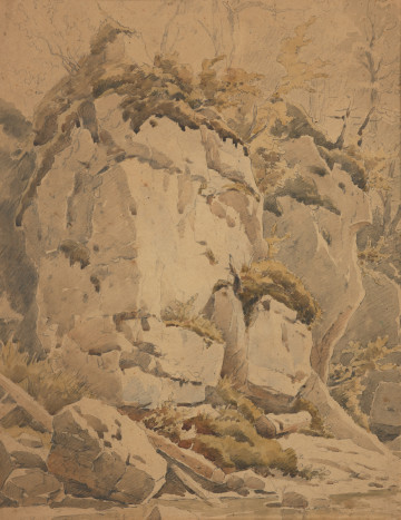 pejzaż - ujęcie z przodu; Kompozycja jednoplanowa, przedstawia skałę nad strumieniem. U dołu wąski pas lustra wody, nieco powyżej głaz i klocki drewna, nad tym całość kompozycji wypełnia widok skały miejscami spękanej, w rozpadlinach porosłej mchem, z wierzchołkiem zwieńczonym roślinnością. Koloryt: przewaga szarości z elementami przełamanej żółtawej zieleni i ugrów.