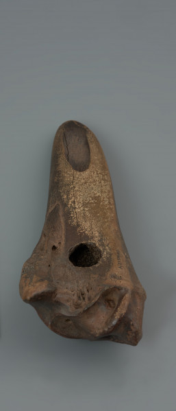 motyka kościana - ujęcie z tyłu; Motyka wykonana poprzez skośne odcięcie trzonu oraz usunięcie części główki kości długiej tura. Poprzeczne ostrze po zewnętrznej stronie jest półokrągłe, od strony ścięcia posiada wgłębienie, pozostałe po ścięciu trzonu i odsłonięciu jamy szpikowej. Okrągły otwór na trzonek przewiercony został poprzecznie do dłuższej osi kości przy główce. Powierzchnia motyki została w znacznym stopniu wyświecona i zagładzona w wyniku użytkowania oraz procesów podepozycyjnych.