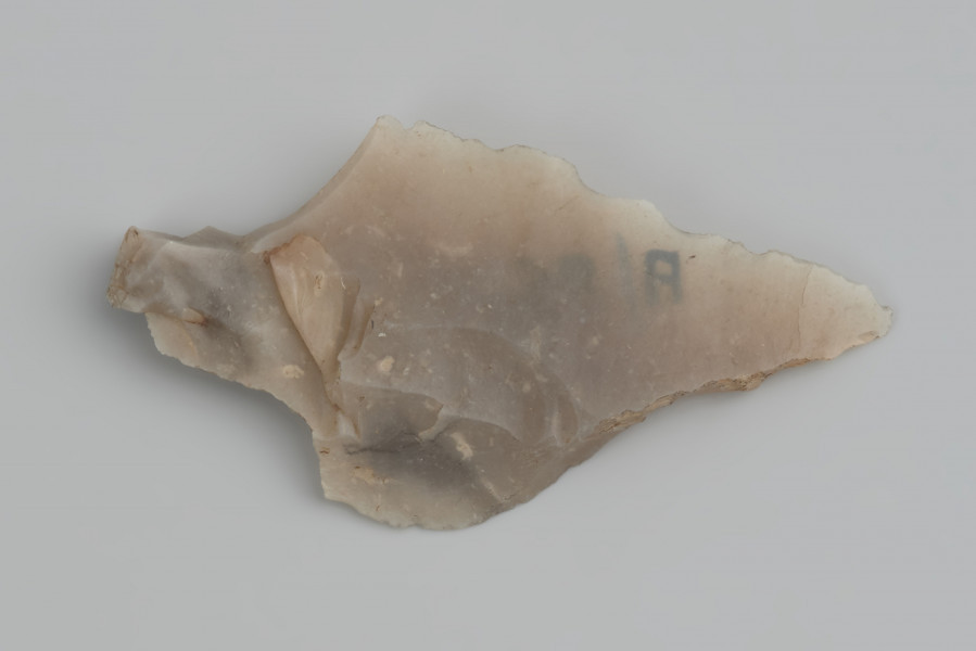 grot; liściak ahrensburski - ujęcie z góry; Liściak wykonany z krótkiego wióra odbitego miękkim tłukiem, prawdopodobnie z tzw. wióra korekcyjnego, będącego odpadem eksploatacyjnym rdzenia pryzmatycznego. Na wyraźnie wyodrębnionym trzonku widoczny jest, zbliżony do prostokąta, ślad po nieskutecznej korekcie krawędzi rdzenia, poprzedzającej produkcję ostrza. Retusz wykonany został na stronie spodniej przy obu krawędziach ostrza. Na wierzchołku widoczny jest impakt - złamanie będące skutkiem uderzenia z dużą siłą w twardą powierzchnię. Powierzchnia liściaka jest silnie wyświecona na skutek długotrwałego zalegania na powierzchni.