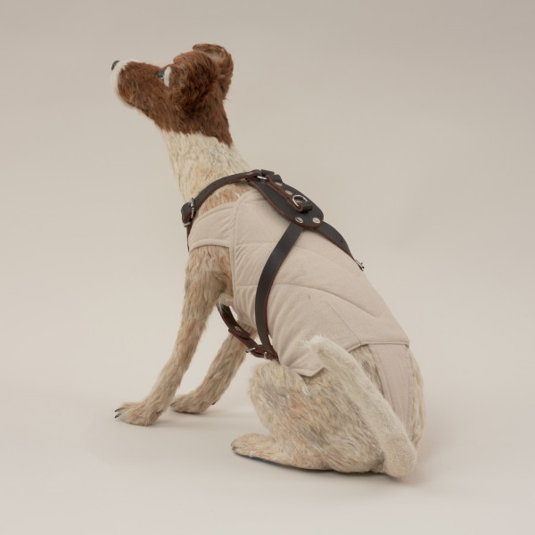 instalacja - Ujęcie tyłu z lewej strony. Instalacja złożona z dwóch elementów: obiektu (pies wykonany z masy papierowej i sierści, w ubranku z pikowanej tkaniny i szelkach ze skóry ekologicznej) oraz animacji na płycie DVD (widok rozgwieżdżonego nieba).