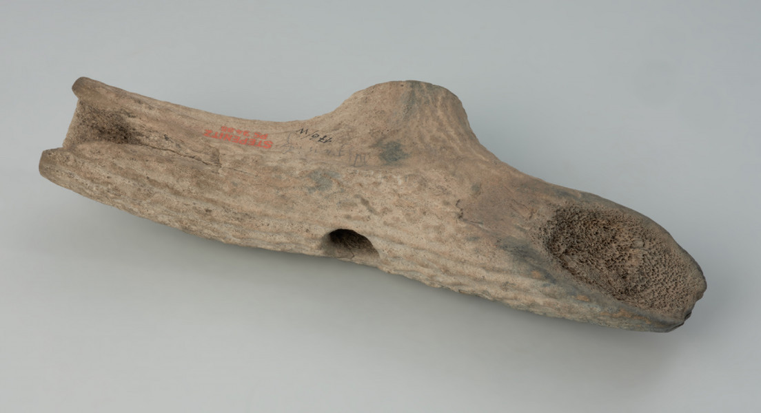 narzędzie, topór - Ujęcie z dołu; Topór T-kształtny wykonany ze środkowej części tyki poroża jeleniowatych, z otworem na trzonek do rękojeści w miejscu opieraka odciętego w odległości 2,5-3 cm od tyki. Ostrze ucięte jednostronnie, równolegle do otworu. Obuch ścięty poprzecznie z wydrążoną substancją gąbczastą do głębokości 3 cm. Powierzchnia naturalna, korowa, przy ostrzu, od dołu ślad po podwójnym nacięciu.