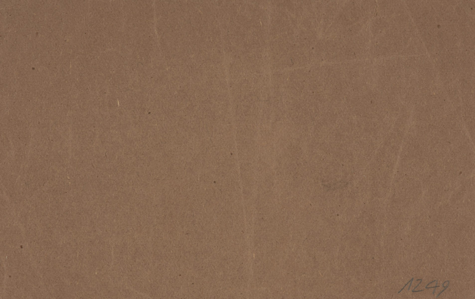 10 miliardów marek - Ujęcie z tyłu. Jednostronny bon o nominale 10 miliardów marek, brązowy papier z czarnymi gotyckimi napisami. Strona główna: w prostokątnej ramce zbudowanej z motywów graficznych oraz oznaczenia nominału: Zehn Milliarden, czcionką szwabachy w kolorze czarnym napis: Gutschein/ Zehn Milliarden Mark/ zahlt die Stadthauptkasse Bublitz gegen Rückgabe/ dieses Scheins bis zum 31. Dezember 1923/ Bublitz, den 26. Oktober 1923/ Der Magistrat. Poniżej, obok wydrukowanej pieczęci miejskiej faksymilie podpisu burmistrza w fioletowym tuszu. W prawym górnym narożniku w fioletowym tuszu numer bonu: 531. Strona odwrotna pusta. Papier brązowy.