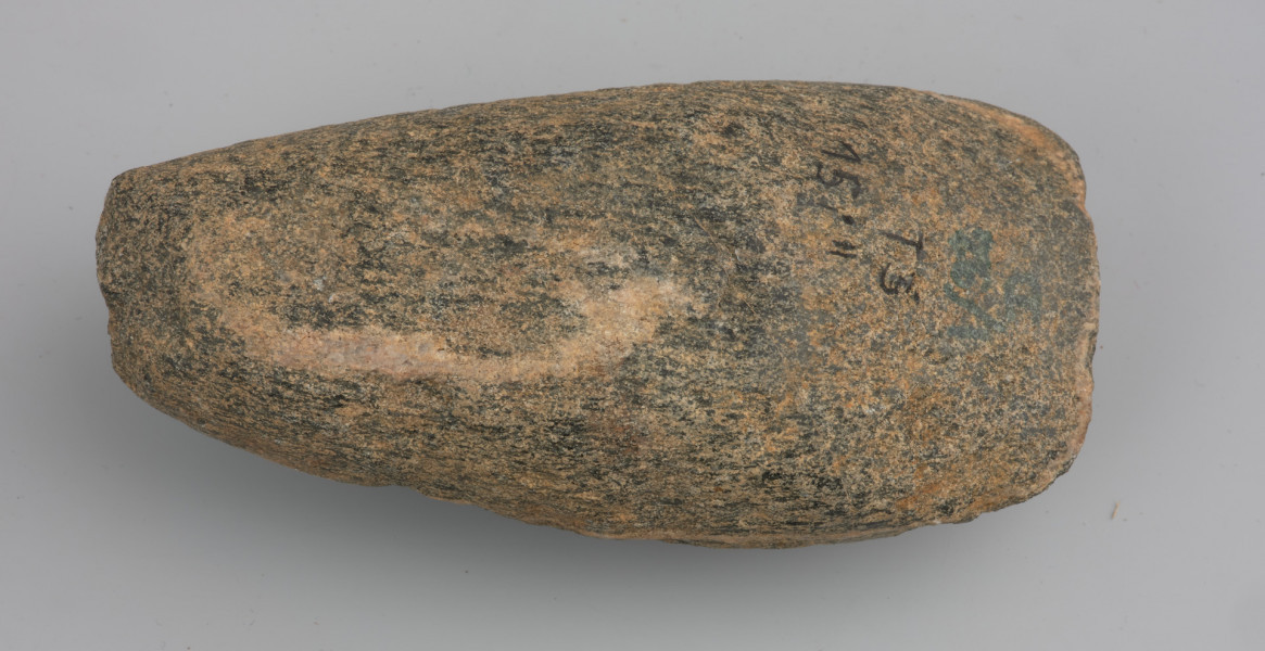 Siekiera walcowata typu Oringe - ujęcie z tyłu; Siekierka walcowata typu Oringe, wykonana ze skały metamorficznej z wtrąceniami krystalicznego kwarcu, ukadających się w owalne, koncentryczne linie. Na powierzchni znajdują się ślady obstukiwania i zagładzenia po procesie formowania. Ostrze zeszlifowano tak by pokryło się z warstwą kwarcu zapewniając narzędziu odporność na zniszczenia. Obuch ścieniony, ze śladami zniszczeń. Powierzchnia lekko ściemniała na skutek procesów podepozycyjnych.