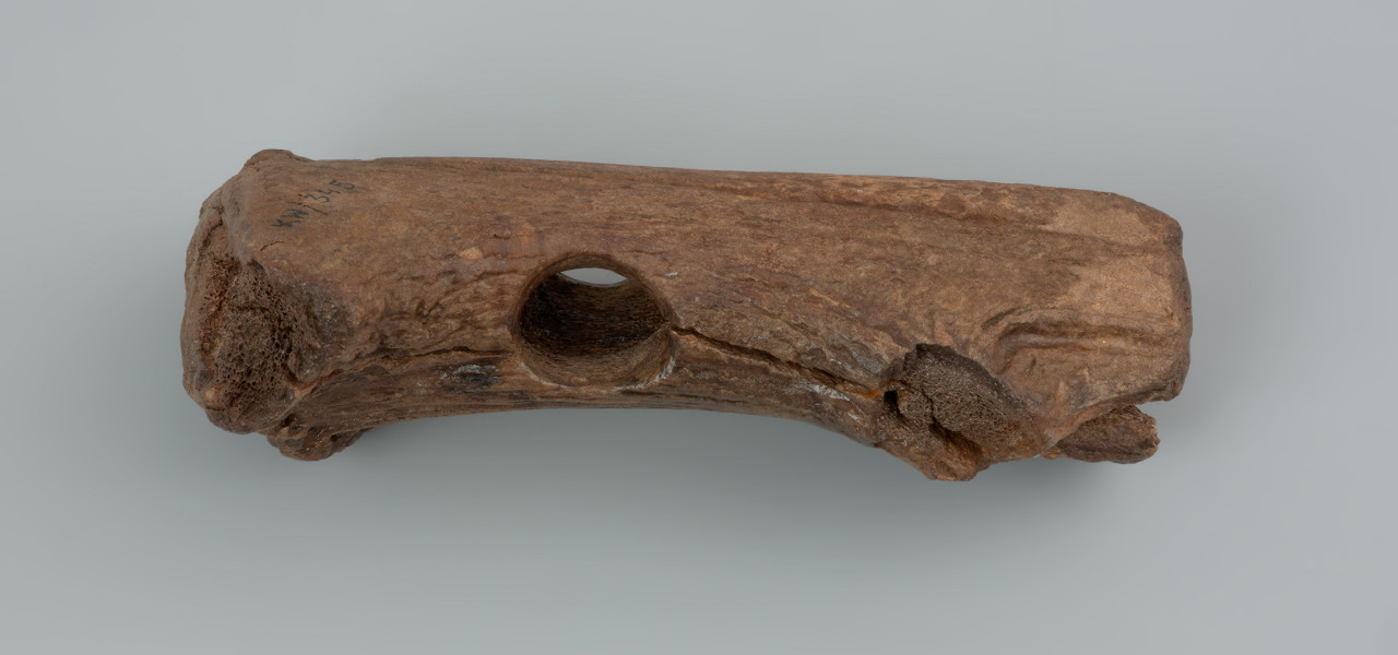 oprawa narzędzia krzemiennego - ujęcie z boku; Podłużna oprawa wykonana z lewej tyki jelenia szlachetnego (Cervus elaphus) z zachowaną różą, tworzącą część obuchową. W jednej trzeciej wysokości wykonano okrągły otwór, służący osadzeniu trzonka, o gładkich krawędziach, przecinający poprzecznie podłużną oś narzędzia. Tuleja częściowo połamana. Na powierzchni i krawędziach widoczne są liczne zniszczenia. Obecność zmiażdżeń i wyłamania na obuchu sugeruje użytkowanie oprawki także jako młotek.