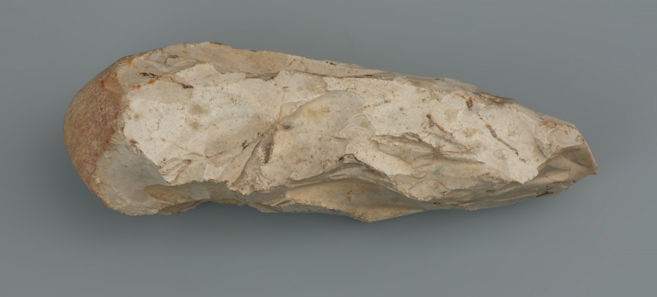 ciosak; półwytwór ciosaka rdzeniowego - ujęcie z przodu; Półwytwór ciosaka rdzeniowego, wykonany z surowca wysokiej jakości. Dość duży, wykonany z podłużnej, owalnej bryły krzemienia. Obuch naturalny, pokryty cienką, silnie zdartą korą. Powierzchnia ukształtowana negatywami dużych odłupków wykonanych twardym tłukiem. Przekrój lekko rombowaty, z dwoma krawędziami, od których odbijano odłupki. Powierzchnia zabytku pokryta jasną patyną.