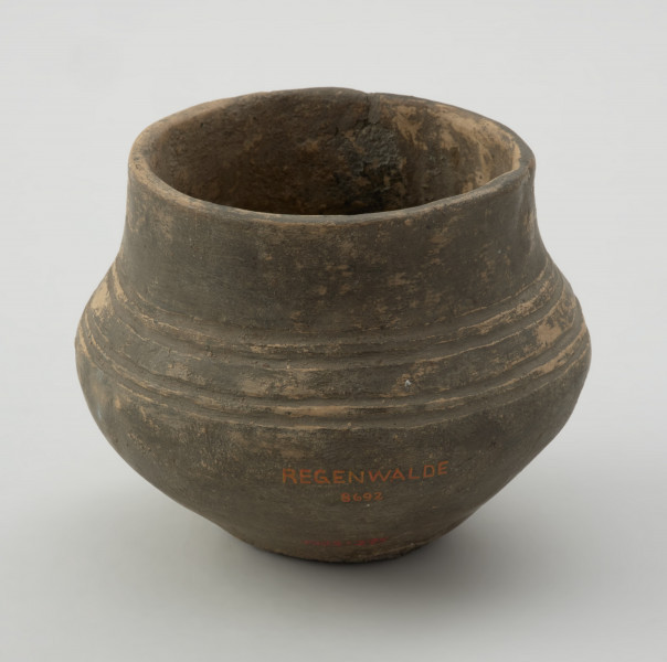 naczynie gliniane - Ujęcie z tyłu. Niewielka gliniana waza o kulistym brzuścu i nieznacznie nachylonej do wnętrza szyjce. Wylew wazy jest zaokrąglony. Waza jest zdobiona ponad załomem brzuśca czterema dookolnymi liniami rytymi. Powierzchnia naczynia jest gładka, a barwa ciemnobrunatna. Typologicznie naczynie reprezentuje wazy grupy A grupy dębczyńskiej.