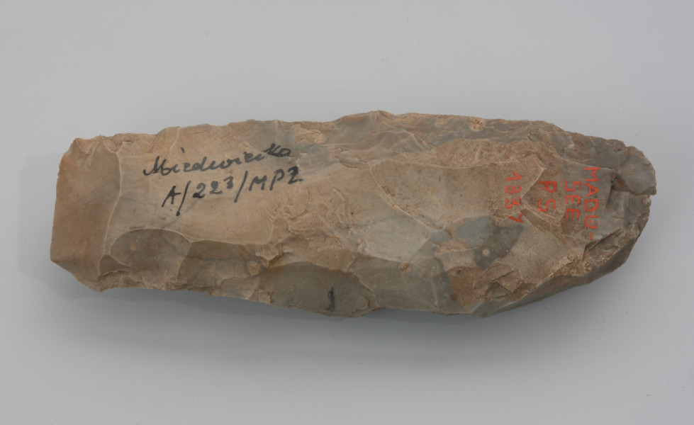 Duży ciosak rdzeniowy o przekroju soczewkowatym - ujęcie dołu; Ciosak rdzeniowy wykonany kamiennym tłuczkiem z dosyć dużej bryły krzemienia kredowego wysokiej jakości. Na obuchu są widoczne liczne ślady użytkowania i drobne wyłuskania na ostrzu, które co najmniej raz było naprawiane poprzez odbicie odłupka zaostrzającego.