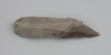 Duży tylczak łukowy Federmesser - ujęcie z góry; Tylczak z Morzyczyna był używany także jako przekłuwacz. Świadczą o tym charakterystyczne ślady, tzw. wyświecenia na wierzchołku. Do jego produkcji użyto półsurowca wiórowego – podłużnego fragmentu większej bryły lokalnego krzemienia kredowego bardzo wysokiej jakości, odbitego miękkim tłukiem kościanym lub z poroża.