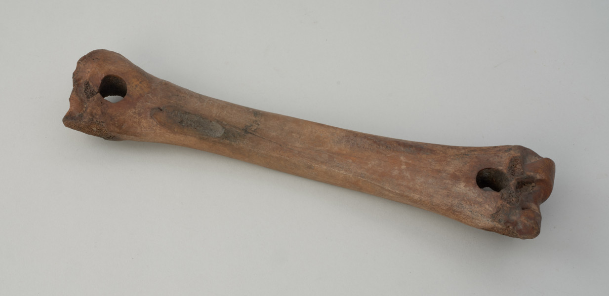 Łyżwa (płoza) - Ujęcie spodu z góry skosem w lewą stronę. Przedmiot wykonano z lewej przedniej kości promieniowej konia. Na obydwóch końcach, w okolicach główek znajdują się regularne, pojedyncze intencjonalnie wywiercone otwory. Dolna część zabytku jest płaska i mocno wyszlifowana z kilkoma podłużnymi zarysowaniami. Górna cześć kości jest naturalnie łukowata, a na jej powierzchnie można zaobserwować chropowaty ślad powstały po odrąbaniu kości łokciowej.