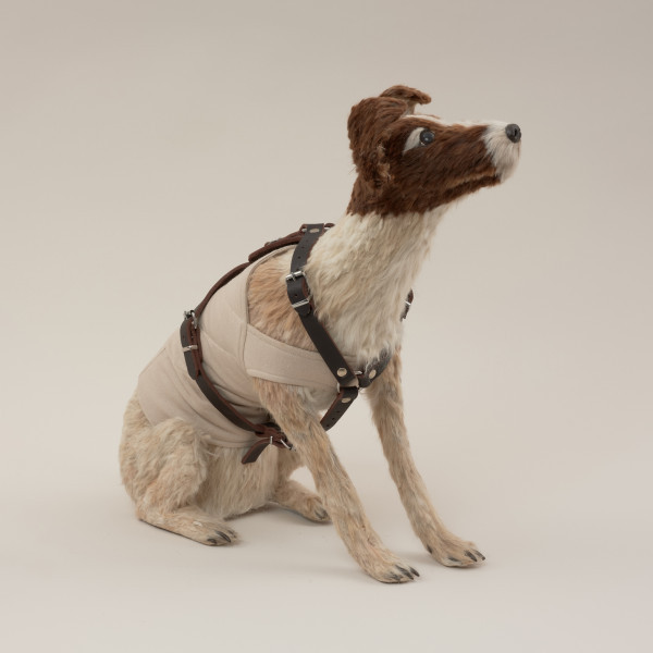 instalacja - Ujęcie przodu z prawej strony. Instalacja złożona z dwóch elementów: obiektu (pies wykonany z masy papierowej i sierści, w ubranku z pikowanej tkaniny i szelkach ze skóry ekologicznej) oraz animacji na płycie DVD (widok rozgwieżdżonego nieba).